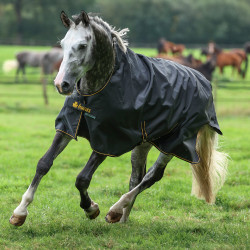 Manta Bucas Irish Turnout High Neck Extra 300g Preto / dourado Manta Bucas Irish Turnout High Neck Extra 300g Preto / dourado