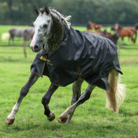 Capa Bucas Irish Turnout High Neck Light 50g Preto / dourado