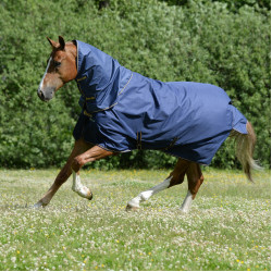 Cobertura Bucas Irish Turnout Light 50g Marinho / dourado Azul Cobertura Bucas Irish Turnout Light 50g Marinho / dourado Azul