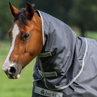 Pescoceira Bucas Smartex Combi Neck Portão de Ferro