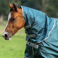 Cobre-pescoço Bucas Atlantic Combi Neck Verde