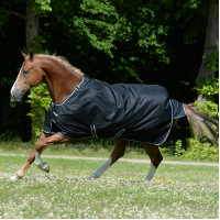 Bucas Trot Turnout 50g deken Preto / branco Bucas Trot Turnout 50g deken Preto / branco