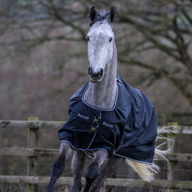 Bucas Trot Turnout 50g deken Preto / branco Bucas Trot Turnout 50g deken Preto / branco