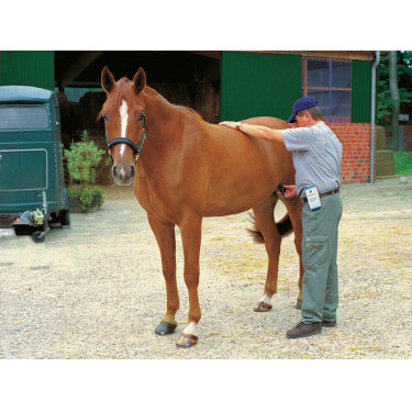 Detector de parto HK