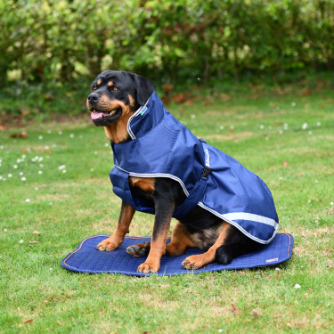 Tapete para cão Bucas Therapy Tapete para cão Bucas Therapy