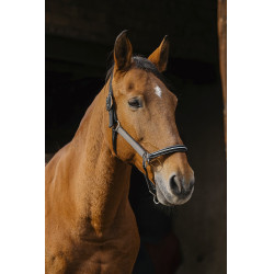 Cabresto de nylon Equithème Domino Cabresto de nylon Equithème Domino