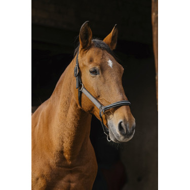 Cabresto de nylon Equithème Domino Cabresto de nylon Equithème Domino