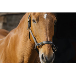 Cabresto de nylon Equithème Domino Cabresto de nylon Equithème Domino