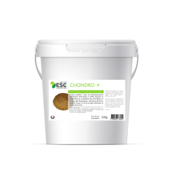 Chondro + ESC Laboratório Chondro + ESC Laboratório