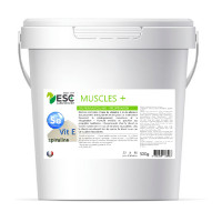 Muscle+ ESC Laboratoire