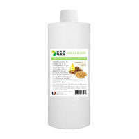 Omega Boost ESC Laboratoire