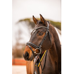 Voorhoofdsriem Wicklow Horze Voorhoofdsriem Wicklow Horze