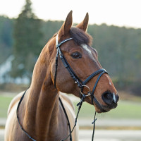 Bridon Horze Weston Preto Bridon Horze Weston Preto