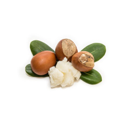 Beurre de Karité ESC Laboratoire