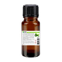 Huile essentielle de Menthe Poivree Cheval ESC Laboratoire Huile essentielle de Menthe Poivree Cheval ESC Laboratoire