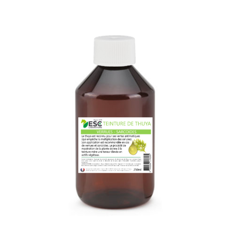 Tintura de Tuia ESC Laboratoire Tintura de Tuia ESC Laboratoire