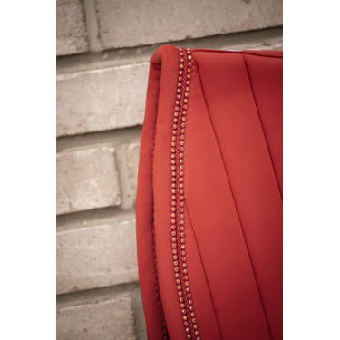 Tapetes Verticais Paddock Sports Tapetes Verticais Paddock Sports