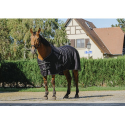 Camisa brilhante Riding World Camisa brilhante Riding World