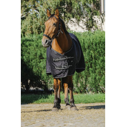 Camisa brilhante Riding World Camisa brilhante Riding World