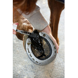 Recharge Alodis Care Fourchette Clean