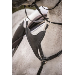 Sete de martingala Pénélope Bip Liso Elástico Preto