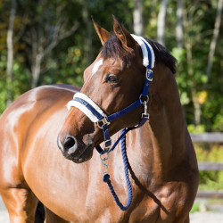 Cabresto Howard Crescendo Horze Cabresto Howard Crescendo Horze