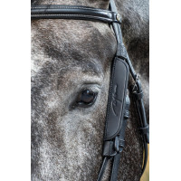 Montantes Focus Dy'on Preto Montantes Focus Dy'on Preto