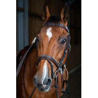 Montantes Focus Dy'on Castanho