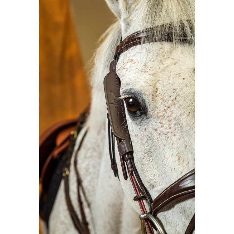 Montantes Focus Dy'on Montantes Focus Dy'on
