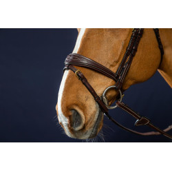 Bridão Muserola Combinada Anatômica Dy'on D Collection Castanho