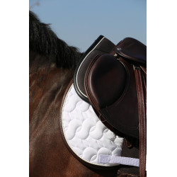 Amortecedor Anatômico Absorb Kentucky Preto