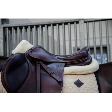 Amortecedor Mouton Impact Equalizer Kentucky Amortecedor Mouton Impact Equalizer Kentucky
