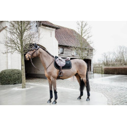 Bandagens de polo Polar Fleece Basic Velvet Kentucky Preto