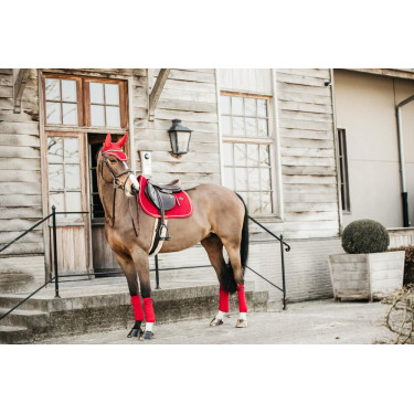 Bandagens de polo Polar Fleece Velvet Kentucky Vermelho Bandagens de polo Polar Fleece Velvet Kentucky Vermelho