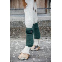 Bandagens de polo Polar Fleece Velvet Pearls Kentucky Verde pinho
