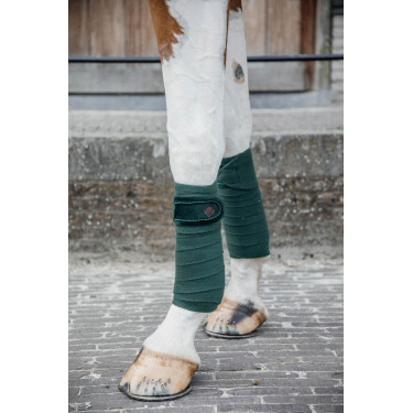 Bandagens de polo Polar Fleece Velvet Pearls Kentucky Verde pinho