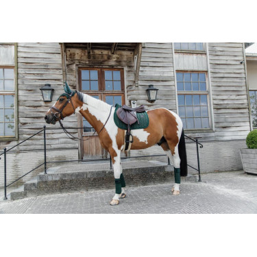 Bandagens de polo Polar Fleece Velvet Pearls Kentucky Verde pinho Bandagens de polo Polar Fleece Velvet Pearls Kentucky Verde pinho