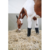 Faixas de descanso Repellent Kentucky Preto Faixas de descanso Repellent Kentucky Preto