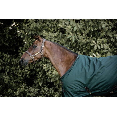 Capa de exterior All Weather impermeável Pro Kentucky Verde escuro Capa de exterior All Weather impermeável Pro Kentucky Verde escuro