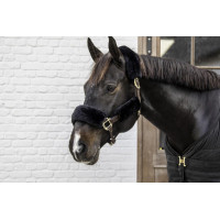 Capa de carneiro para cabresto 4 peças Kentucky Preto Capa de carneiro para cabresto 4 peças Kentucky Preto