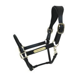 Cabresto Anatômico de Couro Kentucky Preto