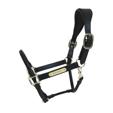 Cabresto Anatômico de Couro Kentucky Preto