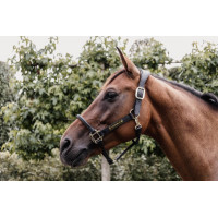 Cabresto Anatômico de Couro Kentucky Preto