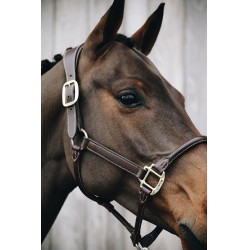 Cabresto Anatômico de Couro Kentucky Castanho