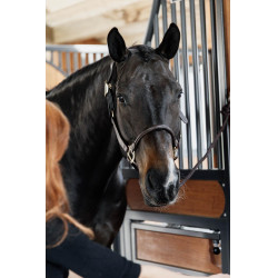 Cabresto Anatômico de Couro Kentucky Castanho