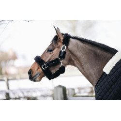 Cabresto de transporte ovelha Kentucky Preto Cabresto de transporte ovelha Kentucky Preto