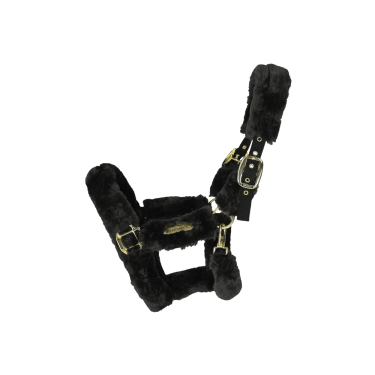 Cabresto de transporte ovelha Kentucky Preto Cabresto de transporte ovelha Kentucky Preto