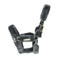 Cabresto de transporte ovelha Kentucky Cinzento