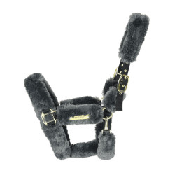 Cabresto de transporte ovelha Kentucky Cinzento