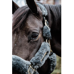 Cabresto de transporte ovelha Kentucky Cinzento Cabresto de transporte ovelha Kentucky Cinzento